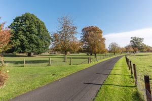 Photo 29- click for photo gallery